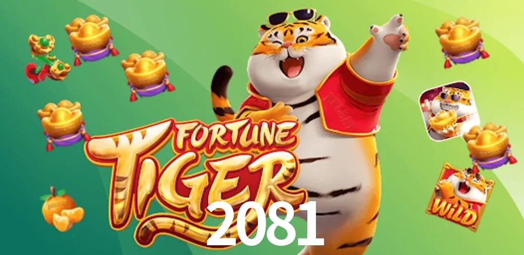 Sports Statistics 2081